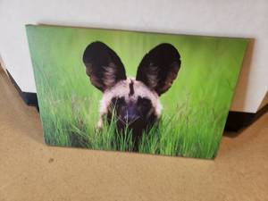 lot 246 image: African Dog Print