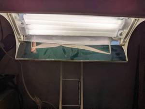 NLT Therapy Lamp