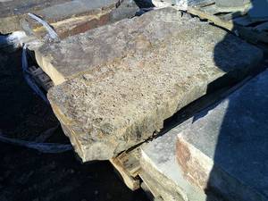 BUCKSKIN STEPS