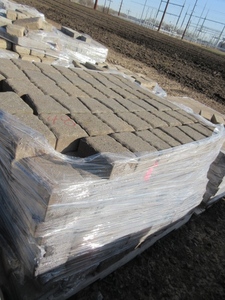 CIRCLE PATTERN CONCRETE PAVERS