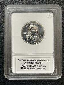2007 Sacagawea Silver Enriched Dollar