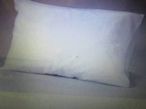 lot 445 image: Case of 100 Tidi Choice Pillowcases...