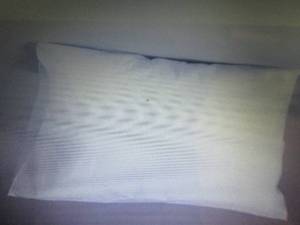 lot 446 image: Case of 100 Tidi Choice Pillowcases...