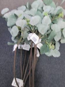 lot 326 image: 12- Seeded Eucalyptus Stems...