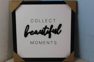 lot 55 image: NEW - allen  roth 17-in x 17-in Collect Beautiful Moments Square Framed Wall Art 098811274529 MSRP $24.98