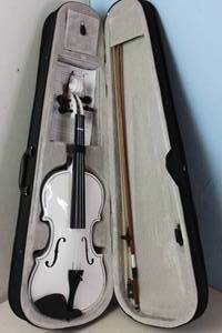 lot 157 image: RETURN - ViolinViola Trainer