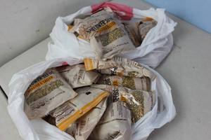 lot 253 image: 24 Bags of Sunflower Seeds