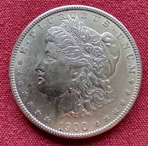1900 Morgan Dollar