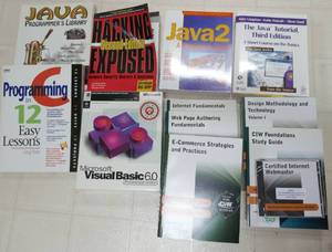 Group of Computer Programming Books - Java, C, VB, and Internet webmaster certification
