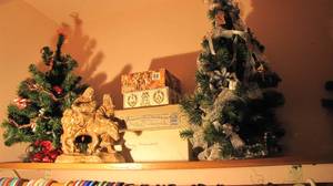 Christmas trees and holiday decor
