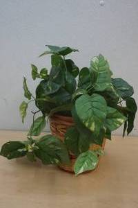 Artificial Plant with plant stand