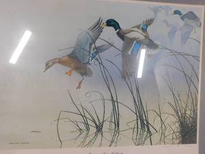lot 225 image: Ducks unlimited framed print