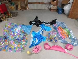 lot 283 image: LG beach floaties