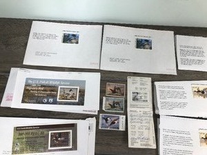 lot 418 image: 15 duck stamps federal & state, 1 Canadian goose stamp and hunting regulation books