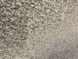 132 SF of Sophisticated Tones Plush Carpet - Griege Fleck Tones 12x11