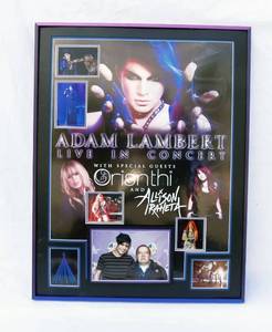 lot 142 image: Adam Lambert 2010 Glam Nation Tour Framed Concert Presentation