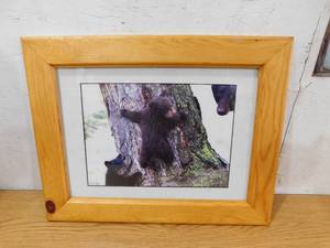lot 112 image: Framed Wildlife Print with Bear