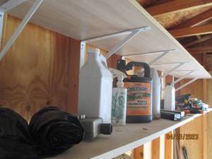 Garden Shed shelf goodies