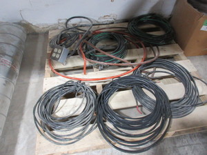 lot 234 image: RAW WIRE