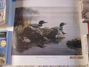 lot 248 image: Minnesota Memories-North Country L...