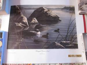 lot 251 image: Tranquil Waters Loon signed and n...