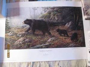 lot 252 image: Northern Explorers signed and num...