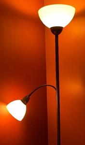lot 53 image: Delightful Double Head Floor Lamp