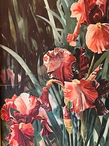 lot 179 image: Lovely Framed Floral Print