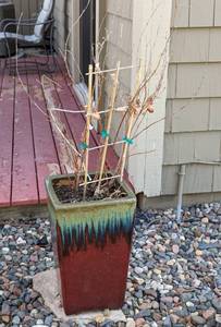lot 139 image: Colorful Ceramic Planter