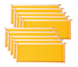 lot 432 image: MayBee Hives-Deep or Brood Size Beehive Frames and Foundations,10 Pack Honey Bee Frames with 100% Beeswax Coated Food Grade Foundation Sheets