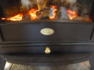 Dimplex Electric Fireplace