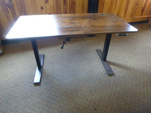 Electric Adjustable Desk