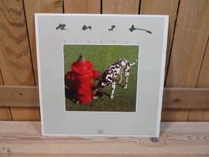 Rush - Signals - 1982 - Vinyl Record