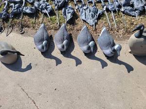 Goose Decoys, Heads, Bodies, Pedestals , Approximately 100