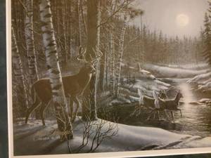 Whitetail deer print by Meger
