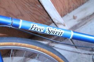 lot 63 image: Free Spirit 10-Speed Bike