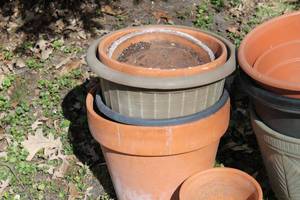 lot 117 image: Assorted Planting Pots