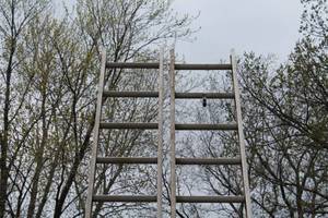 lot 181 image: 32- Foot Aluminum Extension Ladder