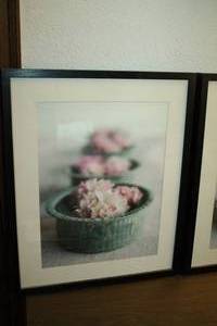 lot 190 image: Herb Art Prints