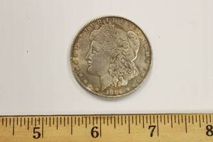 1884 Morgan Dollar Coin