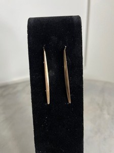 Sleek Gold Dangle Earrings