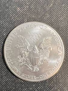 2013 AMERICAN SILVER EAGLE 1 TROY OZ .999 FINE SILVER DOLLAR