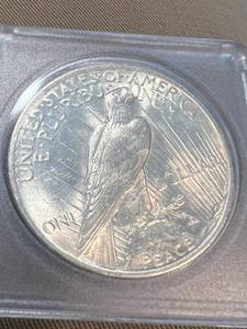 1923 US PEACE SILVER DOLLAR IN PLASTIC