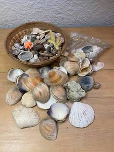 lot 9 image: A Beachcombers Treasure
