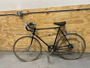 lot 113 image: SCWINN 10 Speed Bike