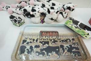Cow Lot
