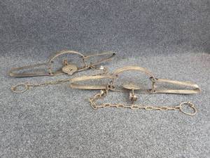 lot 421 image: (2) Vintage OneidaVictor #4 Double Long Spring Traps