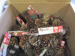 lot 160 image: lot of pinecones ...