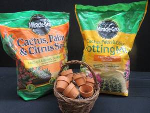 POTTIONG MIX CACTUS PALM AND CITRUS