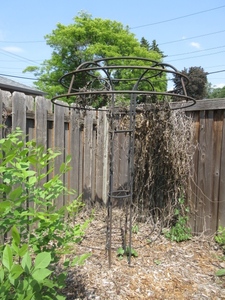 lot 713 image: ROUND STANDING TRELLIS